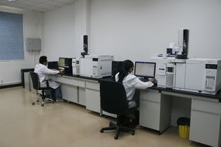 華科檢測技術(shù)服務(wù)積極捐資支持新中學(xué)建設(shè)，助力信息技術(shù)咨詢服務(wù)發(fā)展