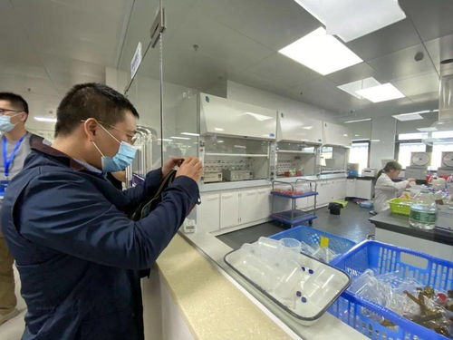 信息技術咨詢服務為‘六穩六?！峁娭?，中國—東盟檢驗檢測認證高技術服務集聚區賦能企業騰飛